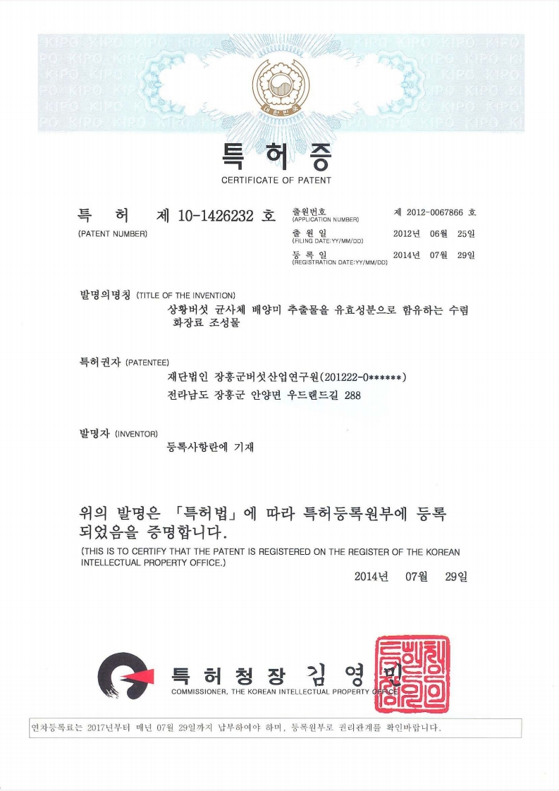 상황버섯 균사체 화장품 조성물