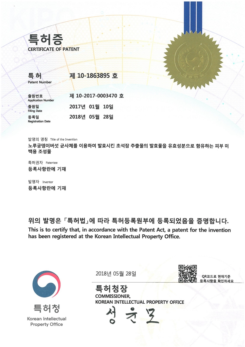 노루궁뎅이버섯 균사체 피부 미백용 조성물